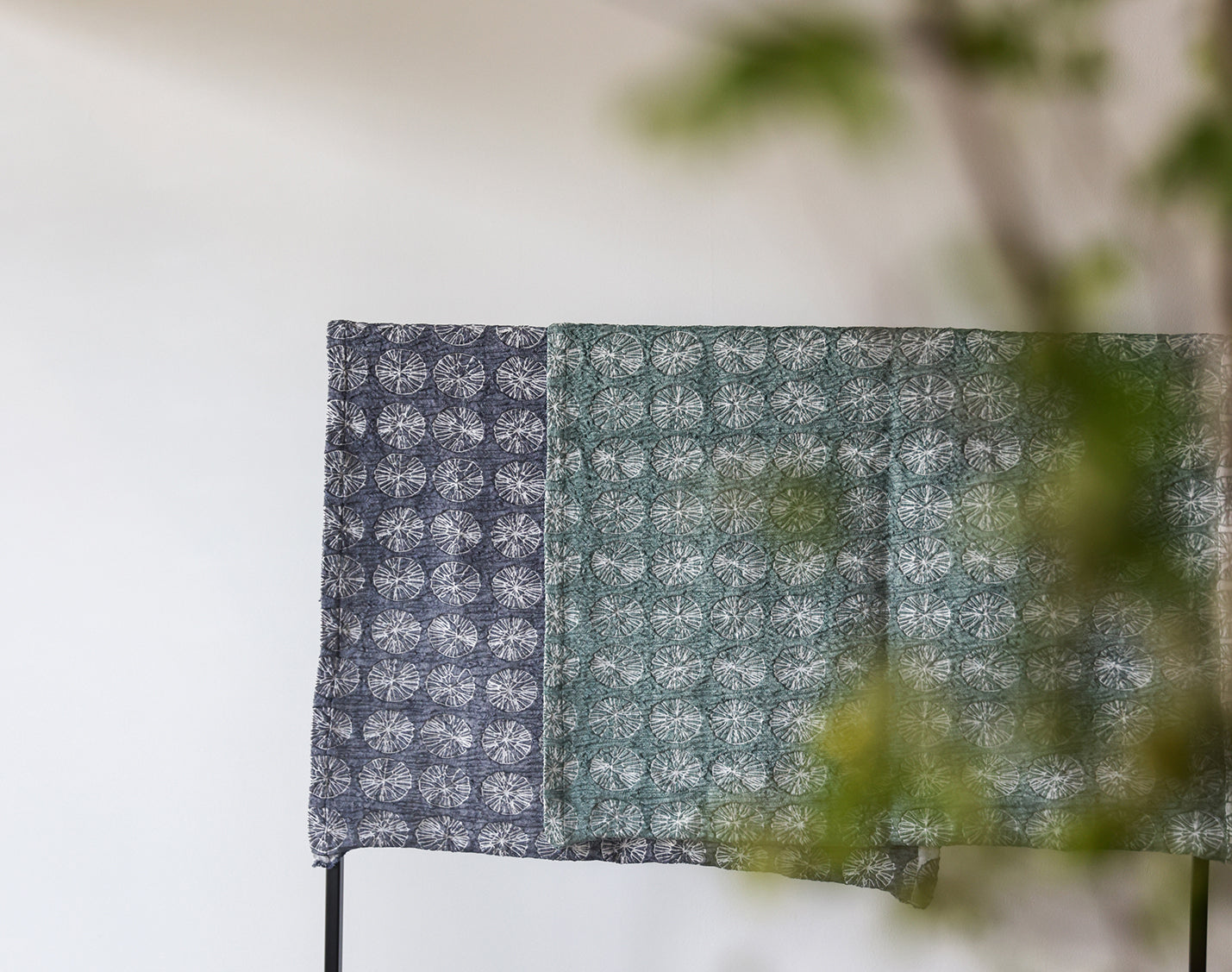 ブランケット [丸イソギンチャク]