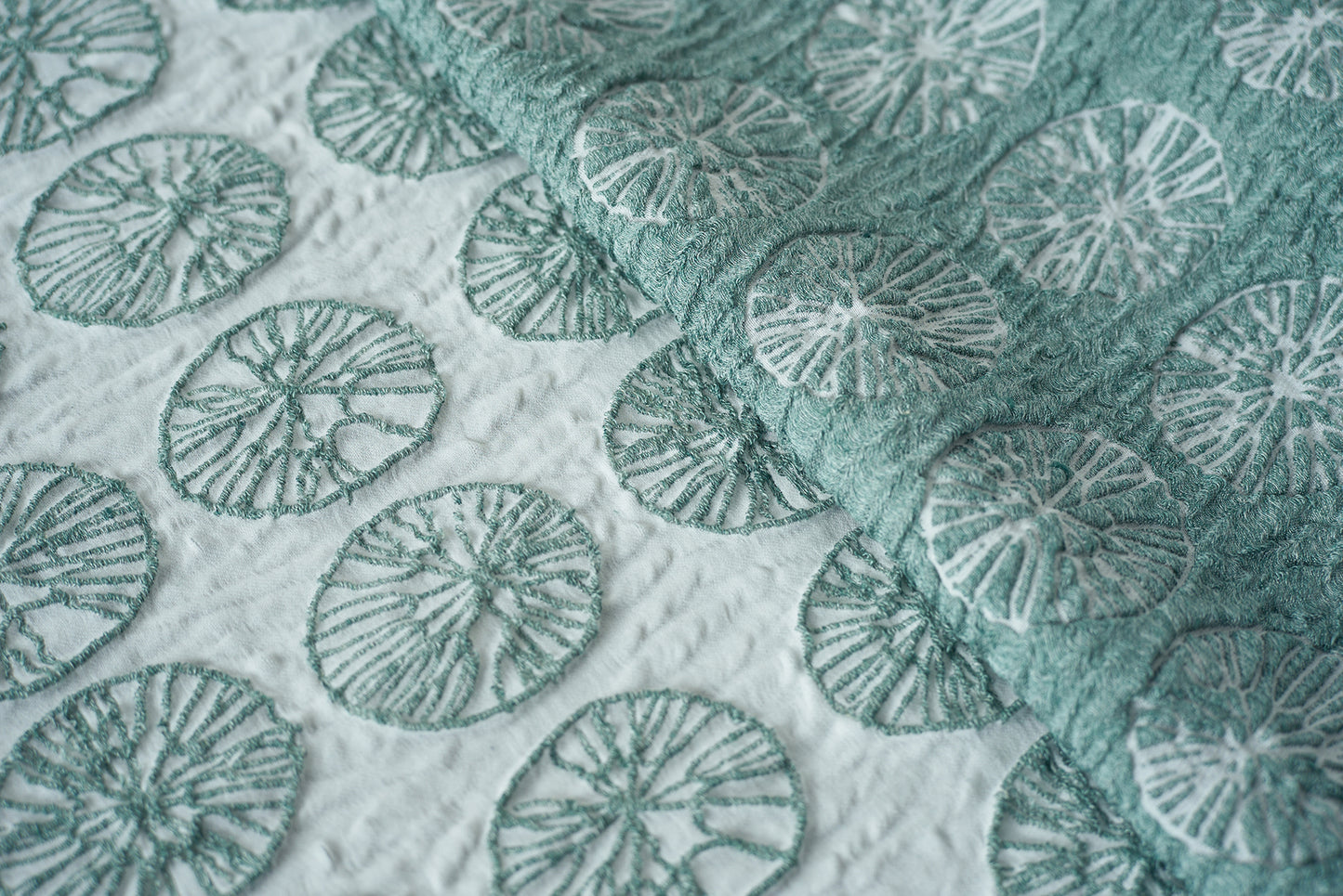 ブランケット [丸イソギンチャク]