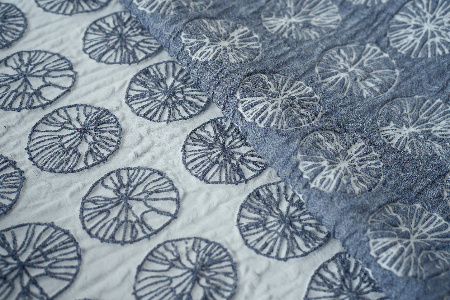 ブランケット [丸イソギンチャク]