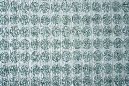 丸イソギンチャク